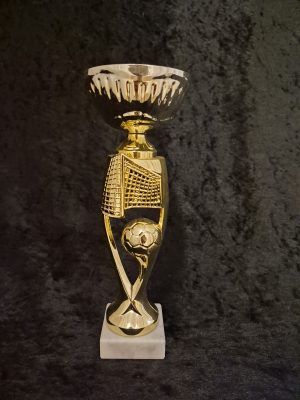 Fotball pokal 23cm